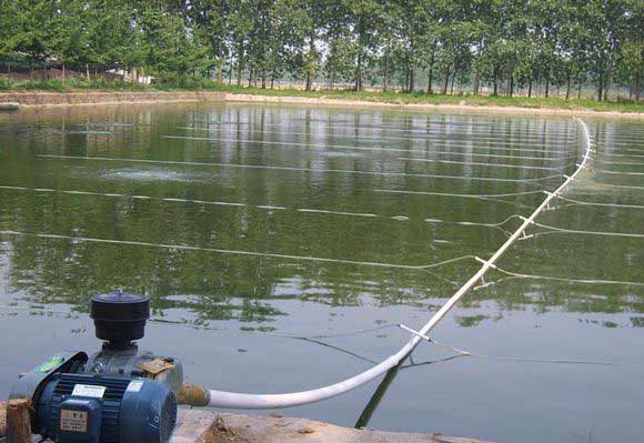 水产养殖行业用罗茨久久99精品国产麻豆婷婷洗澡案例