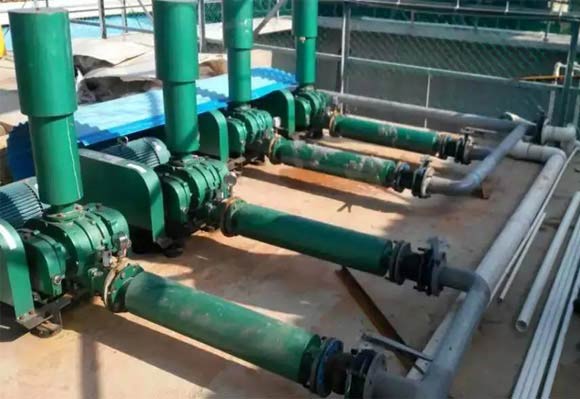 污水处理用三叶罗茨鼓久久99精品国产麻豆婷婷洗澡案例